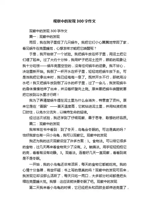 观察中的发现300字作文