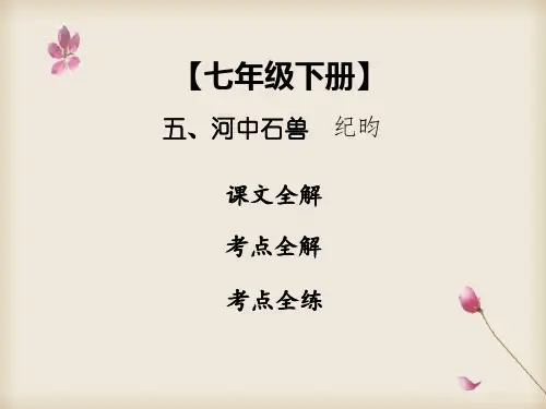 2020中考语文专题复习课件——课内文言文：《河中石兽》