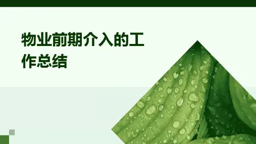 物业前期介入的工作总结PPT