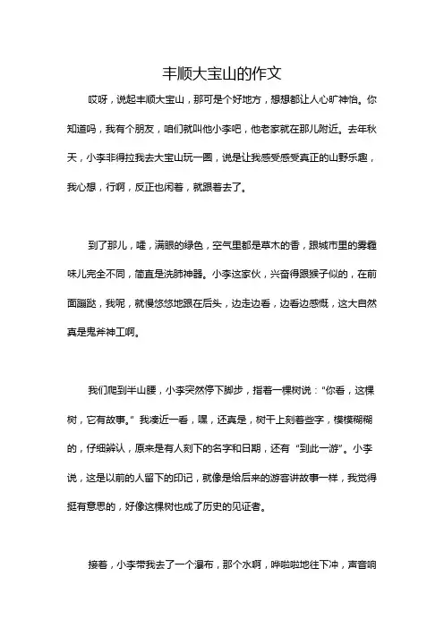 丰顺大宝山的作文