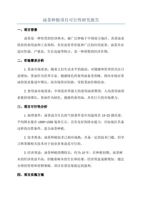 油茶种植项目可行性研究报告