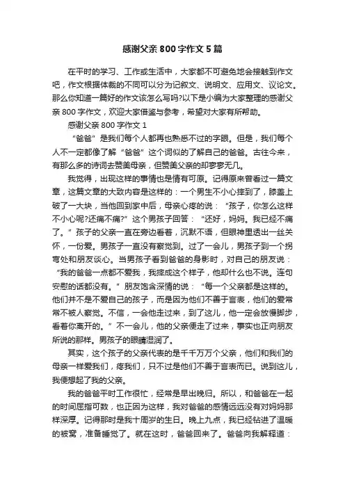 感谢父亲800字作文5篇