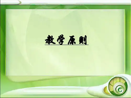 教学原则 PPT课件