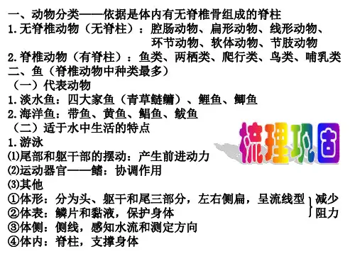 两栖动物和爬行动物