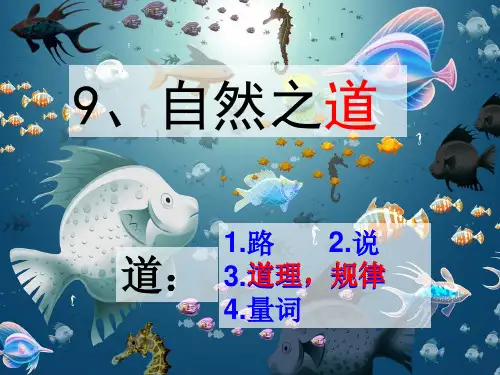 四年级下册语文课件-第九课《自然之道》｜人教新课标 (共37张PPT)
