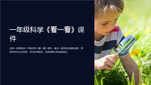 一年级科学《看一看》课件