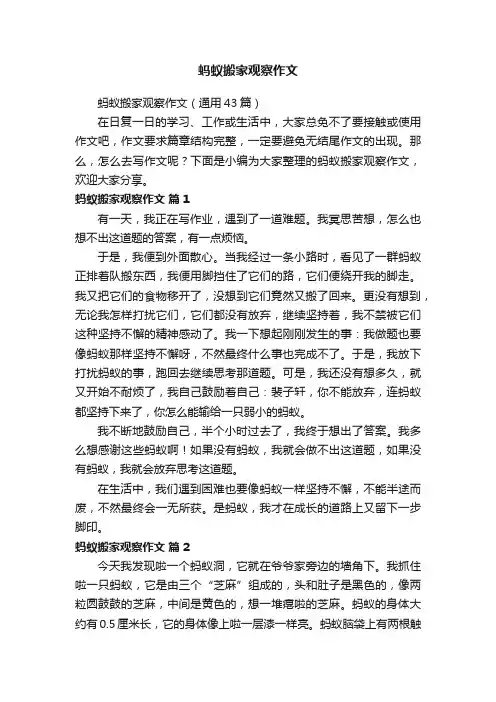 蚂蚁搬家观察作文（通用43篇）