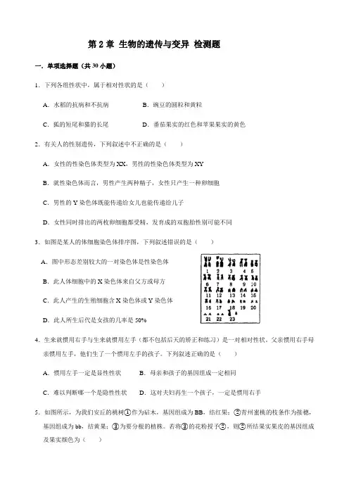 人教版生物八年级下册第七单元 第2章 生物的遗传和变异 检测题(含答案)