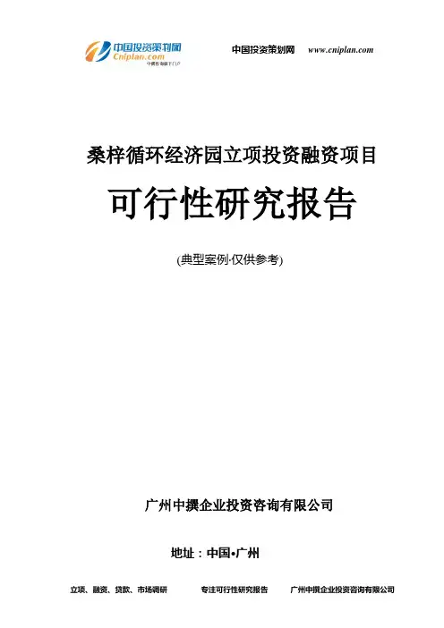 桑梓循环经济园融资投资立项项目可行性研究报告(非常详细)