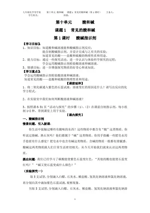 10.1 常见的酸和碱 1  (导学案)