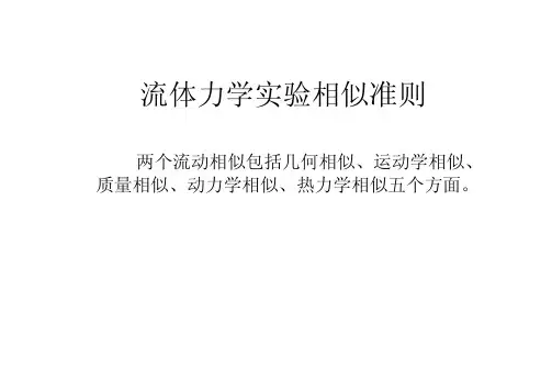 流体力学试验相似准则