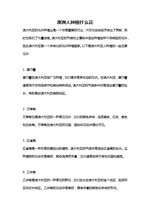 澳洲人种植什么花