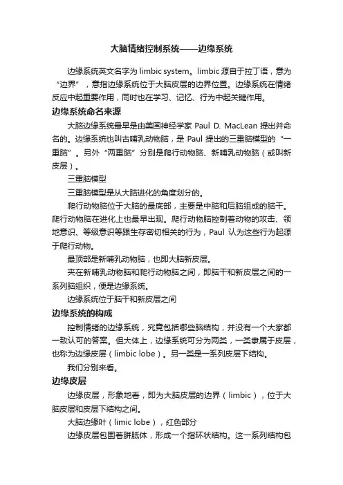 大脑情绪控制系统——边缘系统