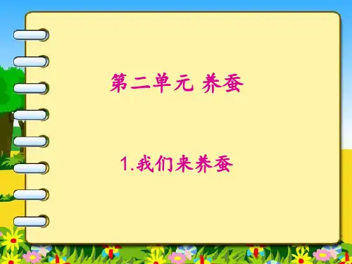 四年级下科学《2.1我们来养蚕》PPT课件
