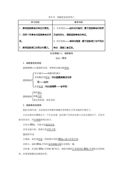 2022-2023 学年 人教版 必修一 细胞的衰老和死亡 教案