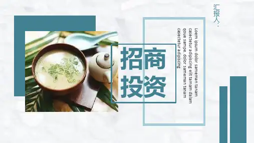餐饮行业招商加盟投资发展规划策略宣讲流程专用PPT模板课件