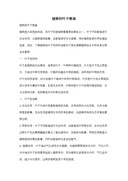 植物的叶子教案