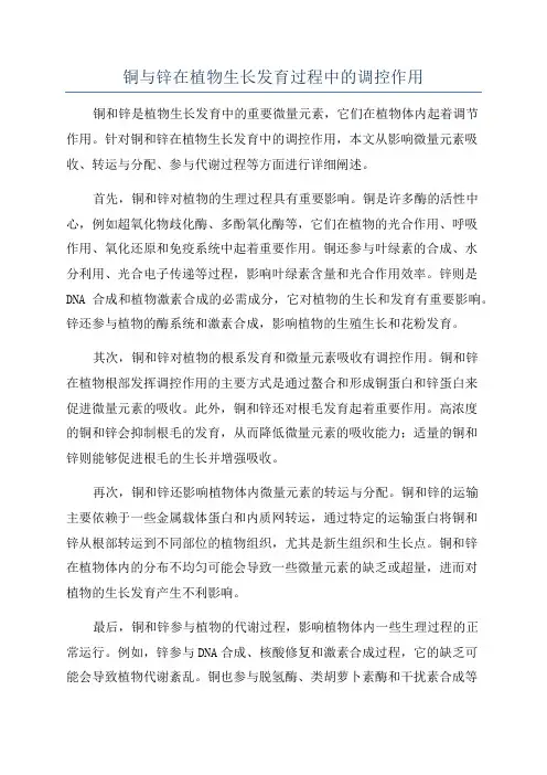 铜与锌在植物生长发育过程中的调控作用