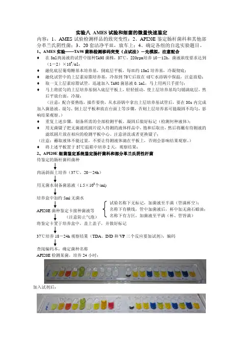 AMES试验和API20E鉴定