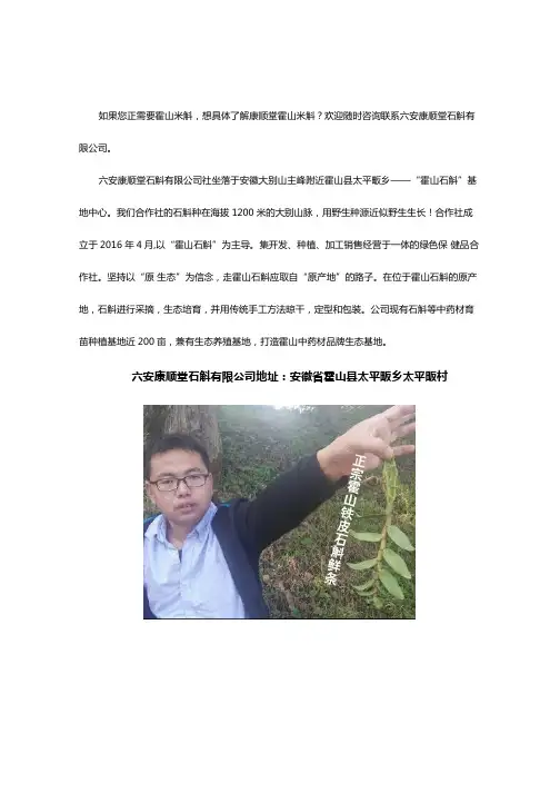 中华魁宝----霍山米斛