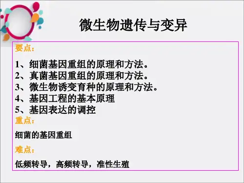 《微生物遗传》PPT课件