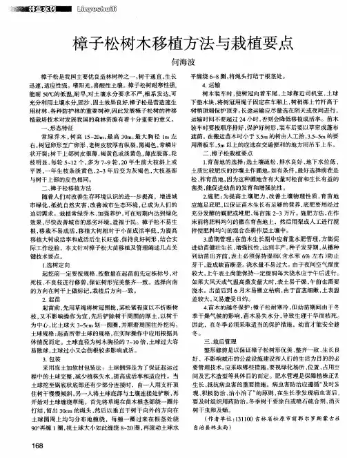 樟子松树木移植方法与栽植要点