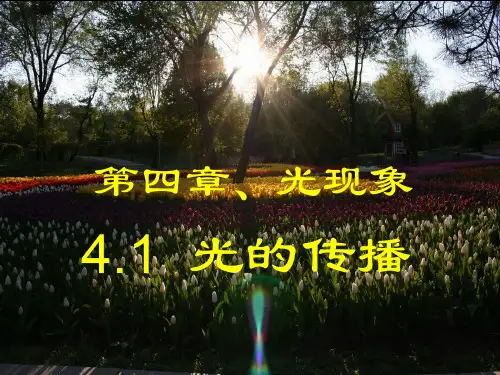 人教物理八年级上册第四章第1节 光的直线传播(共24张PPT)