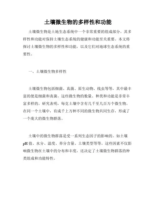 土壤微生物的多样性和功能
