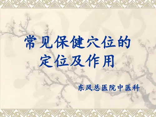 常见的保健穴位定位及作用