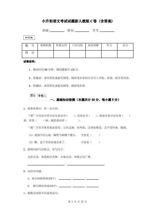 小升初语文考试试题新人教版C卷 (含答案)
