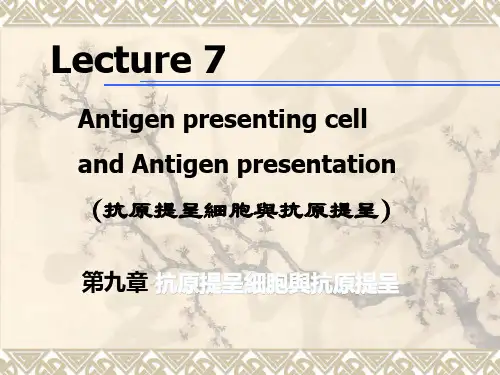 免疫学课件-抗原提呈细胞与抗原提呈
