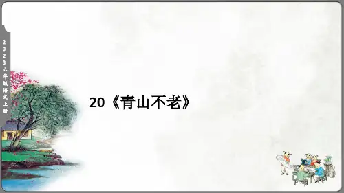 20 青山不老  课件(23张)