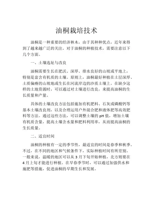 油桐栽培技术