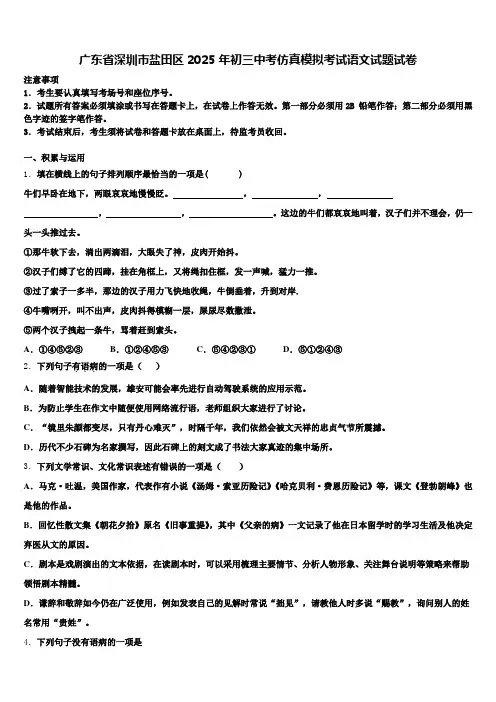 广东省深圳市盐田区2025年初三中考仿真模拟考试语文试题试卷含解析