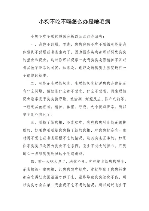 小狗不吃不喝怎么办是啥毛病
