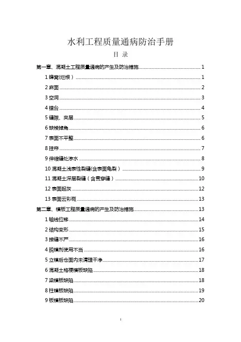 水利工程质量通病防治手册