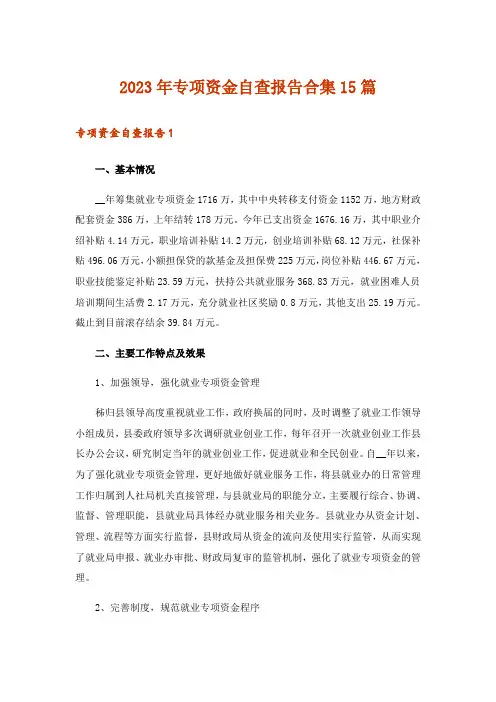 2023年专项资金自查报告合集15篇