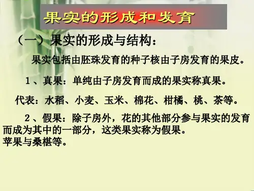 植物科学基础 果实的发育与结构