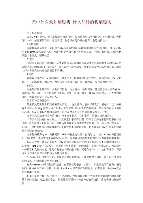 犬中什么犬种最聪明-什么品种的狗最聪明