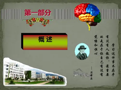 头部(颅脑断层解剖基础)-断层