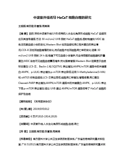 中波紫外线诱导HaCaT细胞自噬的研究