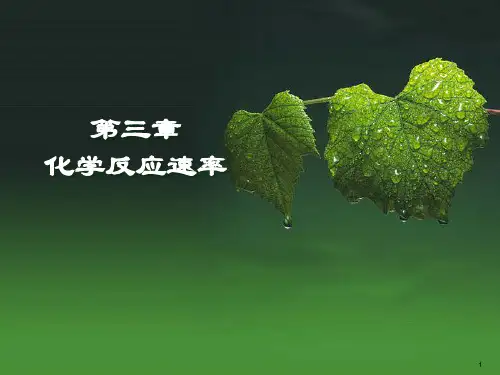 第三章  化学反应速率
