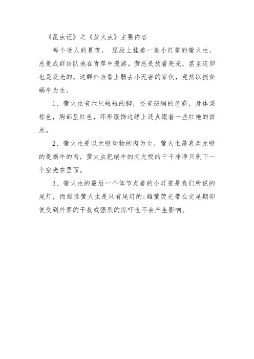 萤火虫简介昆虫记