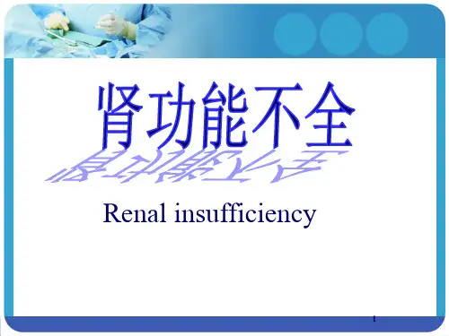 肾功能不全 ppt课件