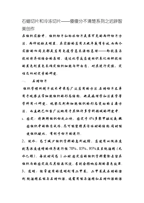 石蜡切片和冷冻切片