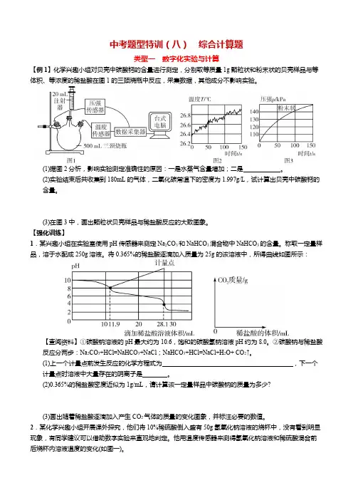 人教版初中化学中考题型特训(八) 综合计算题（含答案）