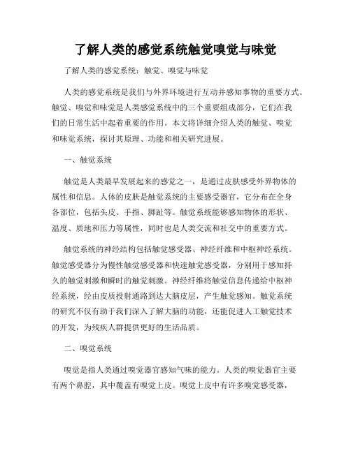 了解人类的感觉系统触觉嗅觉与味觉