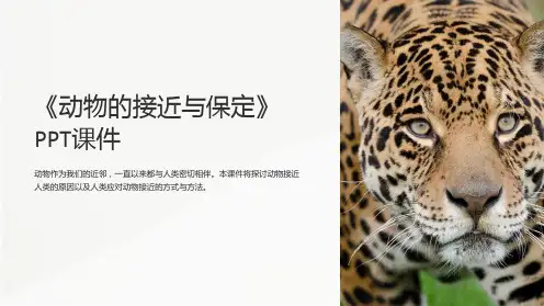 《动物的接近与保定》课件