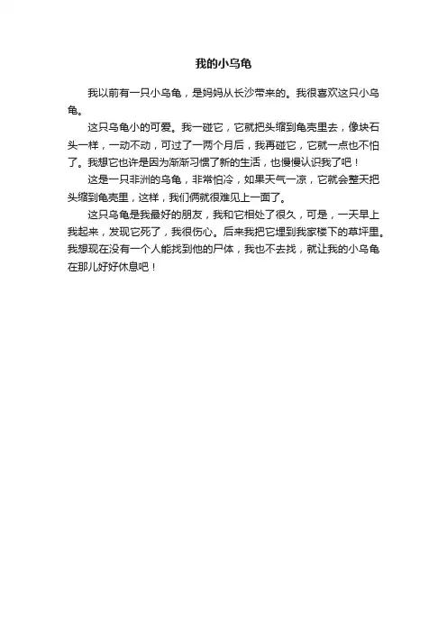我的小乌龟