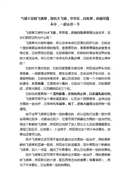 气场十足的飞扬草，别名大飞扬，节节花，白乳草，价值可真不少，一起认识一下